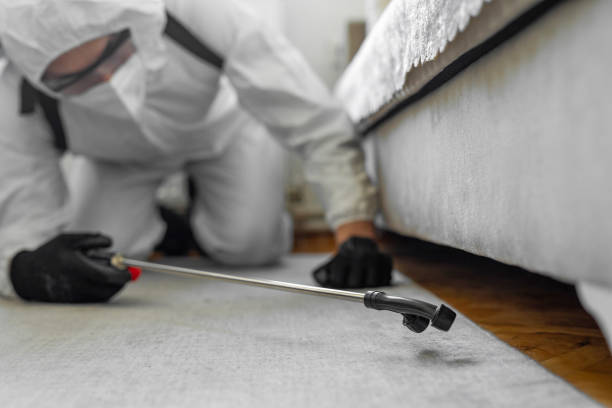 Professional Bed Bug Control technician working in Glenwood, MN