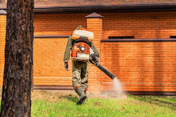 Trusted Bed Bug Control service in Glenwood, MN - Nex Pest Control